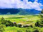 फूलहरूले सजिएको उपत्यका