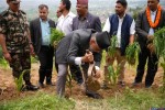 यसरी मनाइयो पहिलो कोदो दिवस