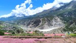 मनाङ ङिस्याङमा फापरखेतीको मनमोहक दृश्य