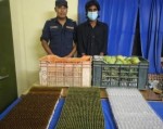४ हजार ५ सय पिस एम्पुल सहित अन्सारी पक्राउ