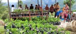 किसानलाई सुन्तलाका बिरुवा ः  महिलाहरूलाई आयआर्जनमा सहज