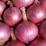 भारतीय बजारमा महंगीयो प्याज, नेपालमा पनि मूल्य उकालो लाग्दै