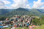 रुकुम पूर्वमा विषालु जङ्गली च्याउ खाँदा दुई बालबालिकाको मृत्यु, आमा र छोरी गम्भीर