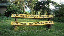 चितवन राष्ट्रिय निकुञ्जमा पोखरी निर्माण र मर्मत