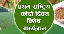 लमजुङ क्याम्पसमा पहिलो राष्ट्रिय कोदो दिवस मनाइने