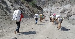 हुम्लामा राष्ट्रिय सडक सञ्जाल जोडिएपछि खच्चड हराउँदै