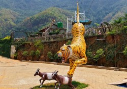 बन्दीपुरको केवलकार उद्यानमा पर्यटक आकर्षणका लागि बाघको प्रतिमा स्थापना