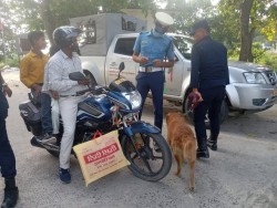 भण्टाबारी सीमामा लागूऔषध नियन्त्रणका लागि DOG Sniffing अभियान सञ्चालन