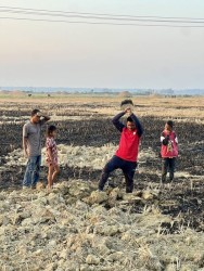 मुसा​​​​​​​को सि’कार: तराईमा जीविकोपार्जन, पोषण र बाली संरक्षणसँग जोडिएको परम्परा