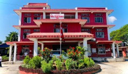 झापाका दर्जनभन्दा बढी कार्यालयमा आगजनी र तोडफोड, खोसिएका हतियार सेनालाई बुझाइयो