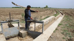 सिँचाइका रुग्ण ठेक्का तोडिँदै