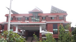 विकल पौडेलसहितको मुद्दा सर्वोच्चमा पुनरावेदन 