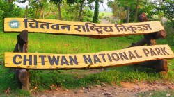 चितवन राष्ट्रिय निकुञ्जमा २२२ जनावरको उद्धार, ७६ वटा मरे