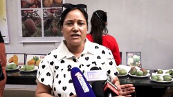 काठमाडौंमा आँप महोत्सव : प्रतिकिलो चार लाख पर्ने आँप प्रदर्शनमा