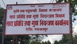 खाद्यान्नमा मिसावटका अभियोगमा व्यापारीविरुद्ध मुद्दा