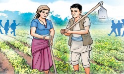अनुदान कुरिरहेका किसान