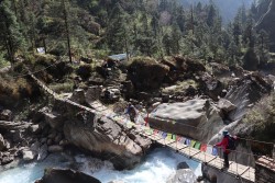 ‘मौरिस हर्जोग’ पदमार्गका अस्थायी पुलमा आलोपालो आवतजावत गर्नुपर्र्ने अवस्था