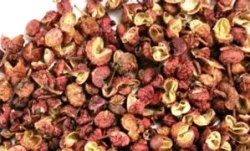 म्याग्दीको कोसेली टिमुरका परिकार