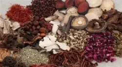 जडीबुटीखेती विस्तार गर्न निःशुल्क बिरुवा वितरण