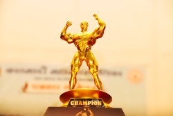 मिस्टर महानगर शारीरिक सुगठनको तयारी पूरा