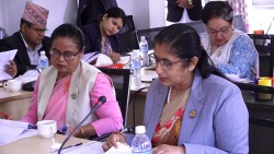 हवाई सेवा प्राधिकरणको अध्यक्ष बन्न १५ बर्षको अनुभव अनिवार्य गर्न माग