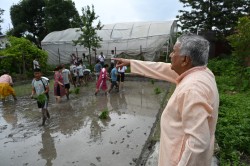 शीतनिवासमा प्रतिकात्मक रोपाइँ, राष्ट्रपति पौडेल सहभागी