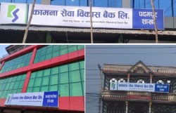 कामना सेवा विकास बैंकको संस्थापक शेयर विक्रीमा 