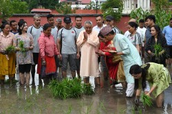 शीतनिवासमा प्रतिकात्मक रोपाइँ, राष्ट्रपति पौडेल सहभागी