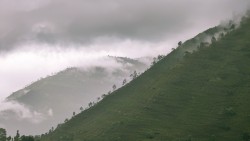 देशभर मेघगर्जन र चट्याङ सहित हल्का देखि मध्यम वर्षाको सम्भावना  