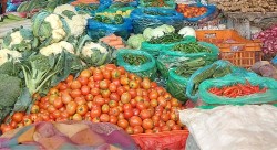 वीरगञ्ज महानगरपालिकाद्वारा छपकैयाँमा तरकारी तथा फलफूल थोक बजार सञ्चालन