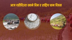 आज राष्ट्रिय धान दिवस र दही चिउरा खाने पर्व,