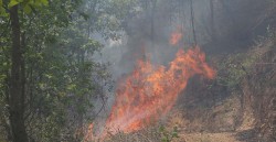 यो वर्ष वैशाखमा मात्रै आगोले लियो २७ को ज्यान 