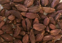 अलैँचीको निर्यात ४४ प्रतिशतले बढ्यो