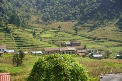 युवालाई आत्मनिर्भर बनाउँदै ‘चखेल’