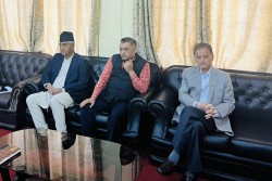 राष्ट्रपतिलाई सुन्ने तर सरकारका कुनै कार्यसूचीमा प्रवेश नगर्ने कांग्रेसको निर्णय
