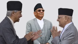 सरकारी टोली कांग्रेस, एमाले र नेकपाको कार्यालय अनुगमनमा खटिँदै