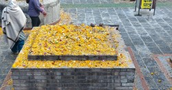 बालाचतुर्दशीः डोलेश्वर,ज्योतिर्लिङ्गेश्वर र गोकुलधाममा छरियो शतबीज