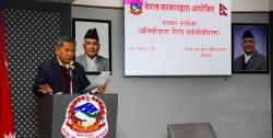 चैत २४ गते सार्वजनिक विदा दिने मन्त्रिपरिषदको निर्णय (सूचीसहित)