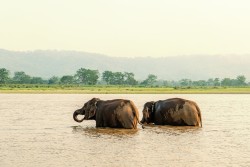 आउने हप्ता पानी पर्ने, गर्मीबाट राहत मिल्ने 