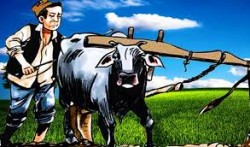 कञ्चनपुरमा मुक्त हलिया पुनःस्थापनको कार्य अलपत्र