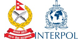 रेड नोटिस जारी भएकी महिला युएईबाट पक्राउ