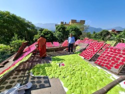 झनियाँको माग बढ्दो, व्यवसायीलाई उत्पादन गर्न भ्याइनभ्याई