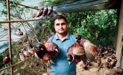 व्यावसायिक कृषिमा रमाउँदै ढकाल परिवार