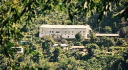 मदन भण्डारी राष्ट्रिय पुरस्कार कञ्चनजङ्गा चिया बगानलाई  दिइने