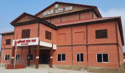 लुम्बिनी प्रदेशमा समाजवादीले लियो समर्थन फिर्ता 