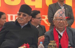 नेपाली कम्युनिस्ट पार्टीले सातै प्रदेशमा एकल उमेदवारी दिने