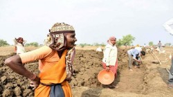 खेतीहर मजदुर नहुँदा खेती धान्न सकस