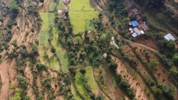 व्यावसायिक फलफूलखेतीतर्फ भुल्केका किसानको आकर्षण