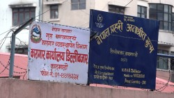नाउपाका संरक्षक अध्यक्ष रेशम चौधरी रिहा 