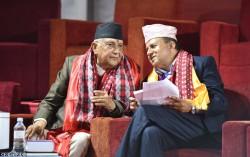 एमाले केन्द्रीय कमिटी निर्वाचित, संस्थापन पक्षको वर्चस्व